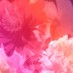 Focusing on Feeling Gratitude