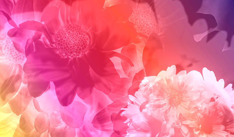 Focusing on Feeling Gratitude