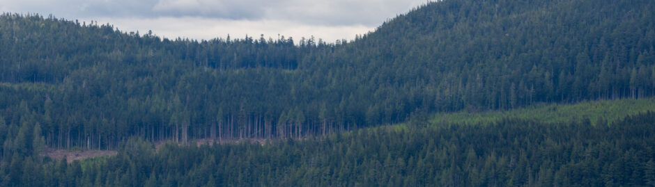 Sayward Landscape above the inlet.